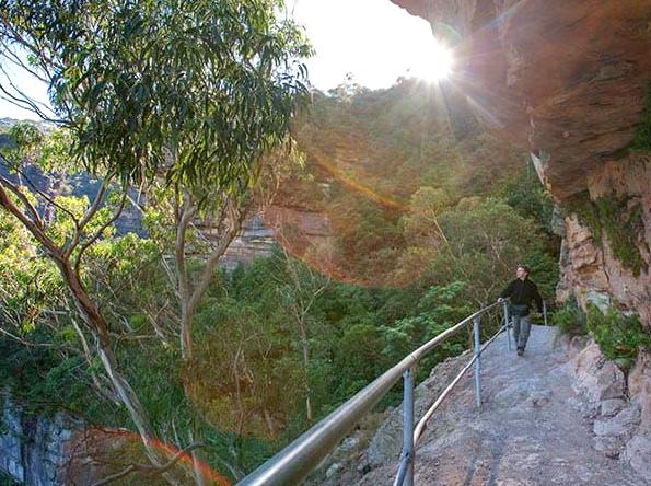 Fern Bower Circuit Walk: Hiking the scenic Fern Bower Circuit Walk.