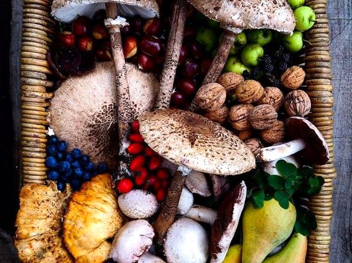 Seasonal Wild Mushroom Foraging: Foraging for wild mushrooms in season.