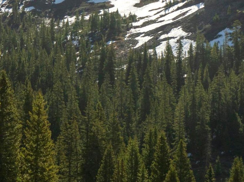 Ride the Historic Ophir Road: Exploring history on the Historic Ophir Road.