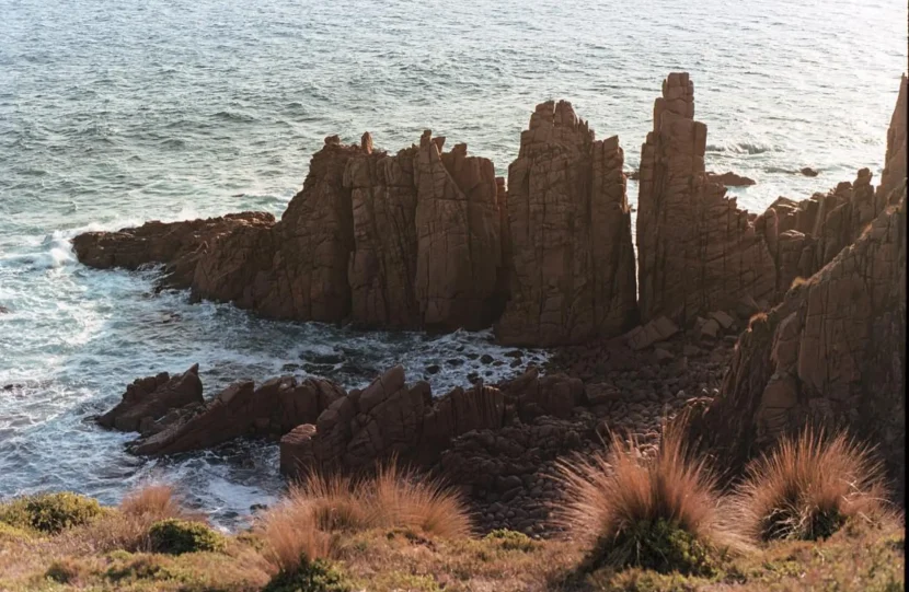 How Much Does a Trip to Phillip Island Cost?